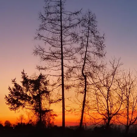 Wienerwald Lejlighed *