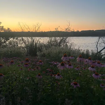 Wienerwald Lejlighed Konigstetten