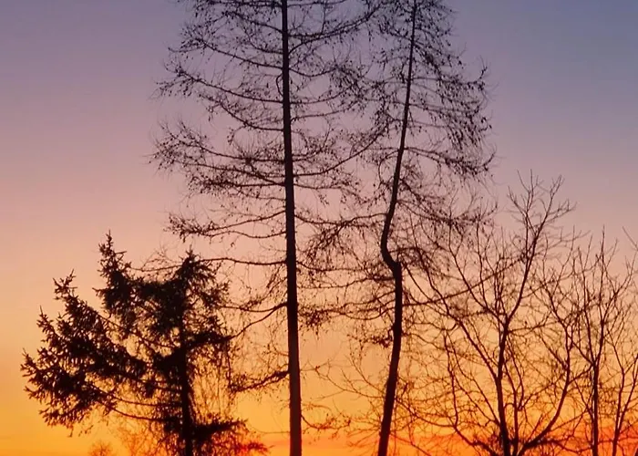 Wienerwald דירה *