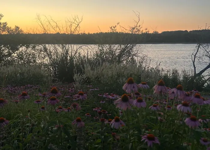 Wienerwald דירה Konigstetten